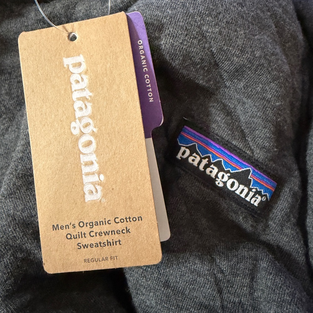 Patagonia Men's Organic Cotton Crewneck in Charcoal